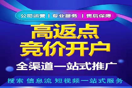 百度竞价代理在某行业的具体应用与效果
